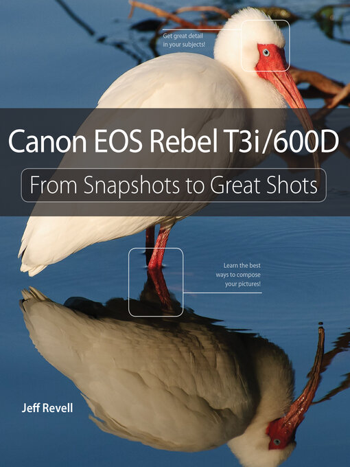 Canon EOS Rebel T3i / 600D (eBook): A View from the 21st Century